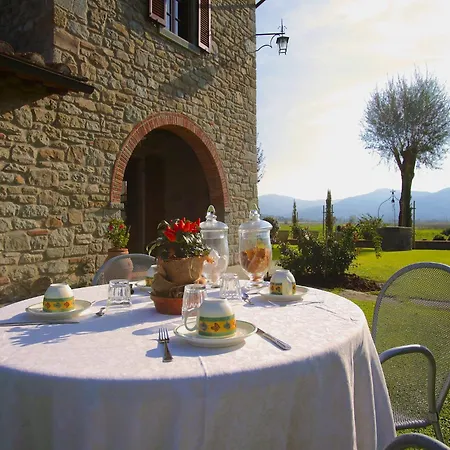 Near With Swimming Pool Cortona
