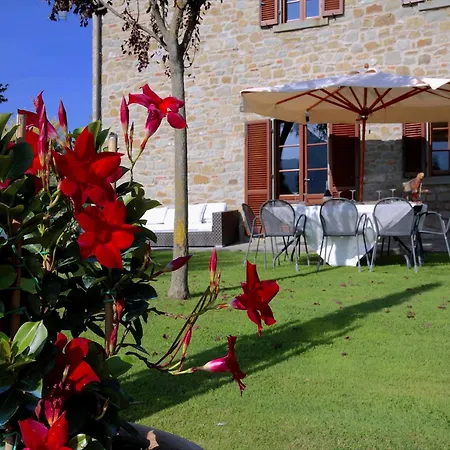 Near With Swimming Pool Villa